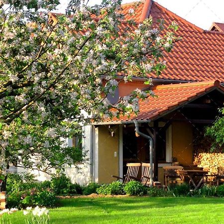 Janischs Fewo Im Spreewald, Terrasse, Grosser Garten Und Blick Inklusive Unterspreewald Buitenkant foto