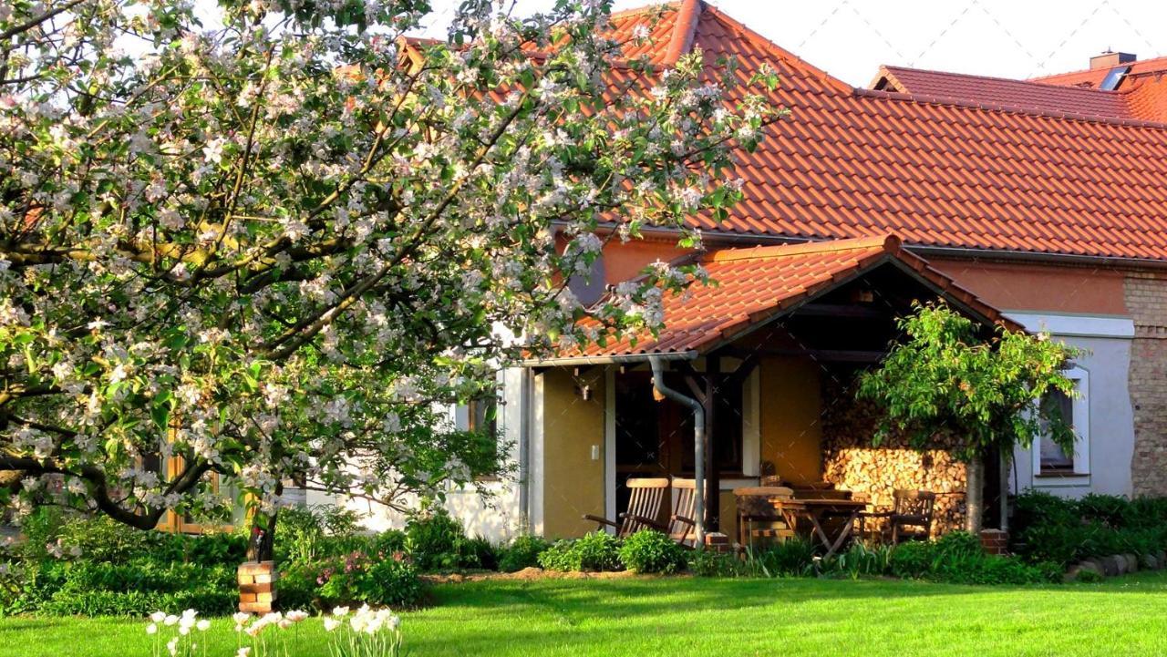 Janischs Fewo Im Spreewald, Terrasse, Grosser Garten Und Blick Inklusive Unterspreewald Buitenkant foto