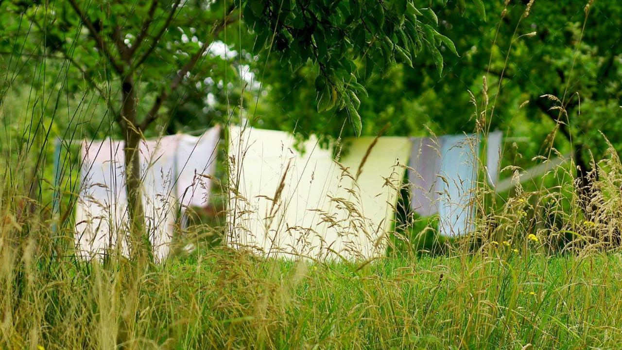 Janischs Fewo Im Spreewald, Terrasse, Grosser Garten Und Blick Inklusive Unterspreewald Buitenkant foto