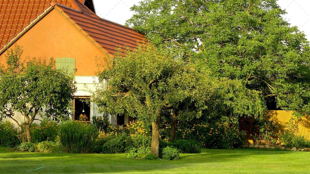 Janischs Fewo Im Spreewald, Terrasse, Grosser Garten Und Blick Inklusive Unterspreewald Buitenkant foto