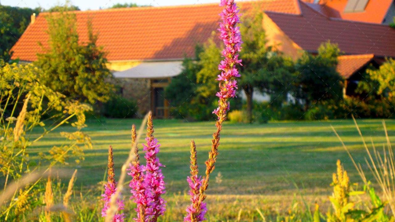 Janischs Fewo Im Spreewald, Terrasse, Grosser Garten Und Blick Inklusive Unterspreewald Buitenkant foto