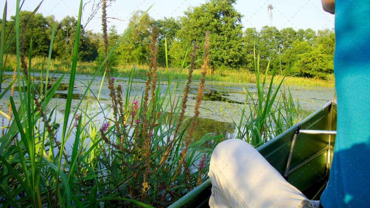 Janischs Fewo Im Spreewald, Terrasse, Grosser Garten Und Blick Inklusive Unterspreewald Buitenkant foto