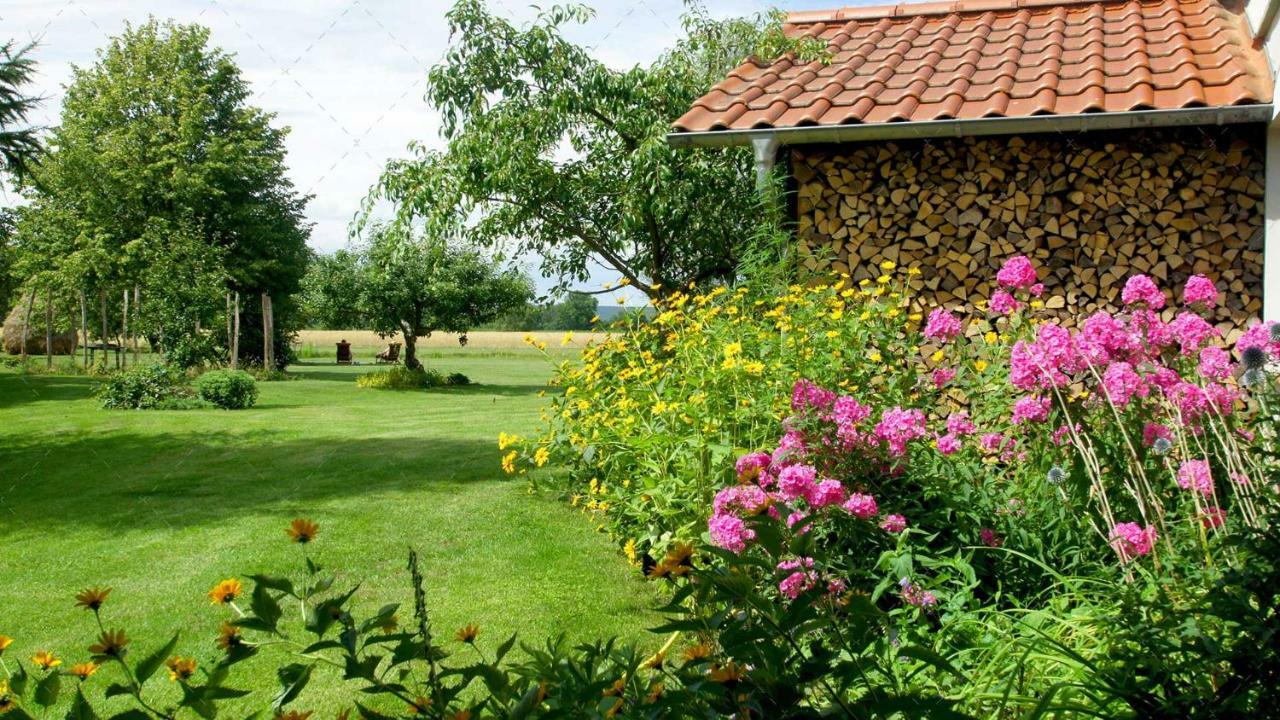 Janischs Fewo Im Spreewald, Terrasse, Grosser Garten Und Blick Inklusive Unterspreewald Buitenkant foto