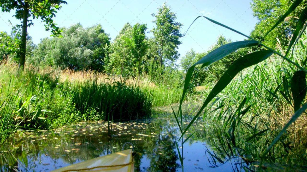 Janischs Fewo Im Spreewald, Terrasse, Grosser Garten Und Blick Inklusive Unterspreewald Buitenkant foto