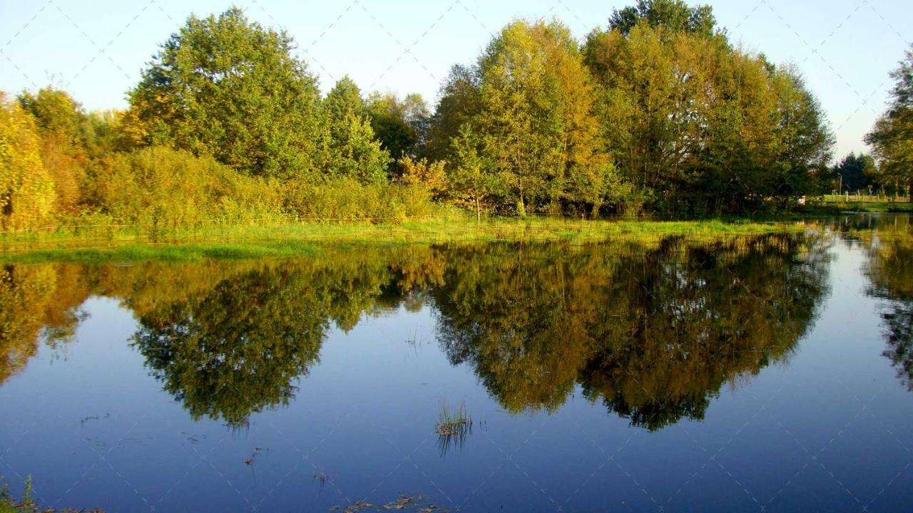 Janischs Fewo Im Spreewald, Terrasse, Grosser Garten Und Blick Inklusive Unterspreewald Buitenkant foto